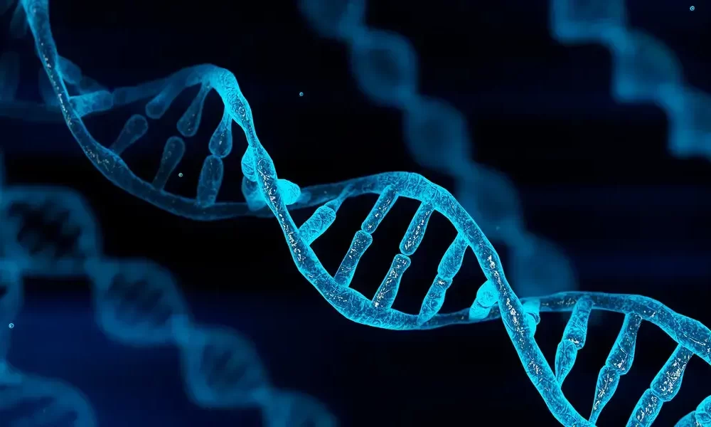 A Complete Guide to DNA