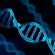 A Complete Guide to DNA