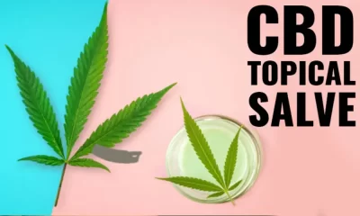 CBD Salve: How To Choose The Right One