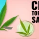 CBD Salve: How To Choose The Right One