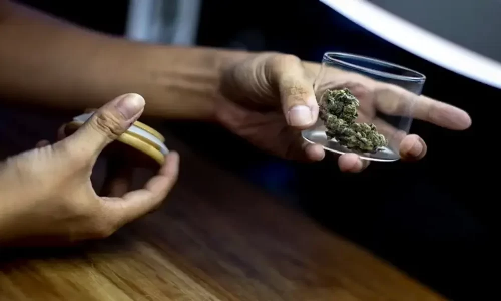 Do Cannabis Oils Help Relieve Pain