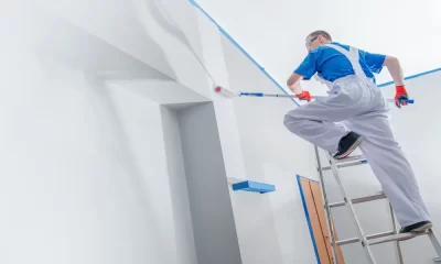 How to Find a Reliable House Painter?