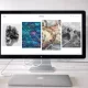 If You’ve Asked Yourself, “Do I Need A Website To Succeed In Business?” Then We’re Not Surprised.