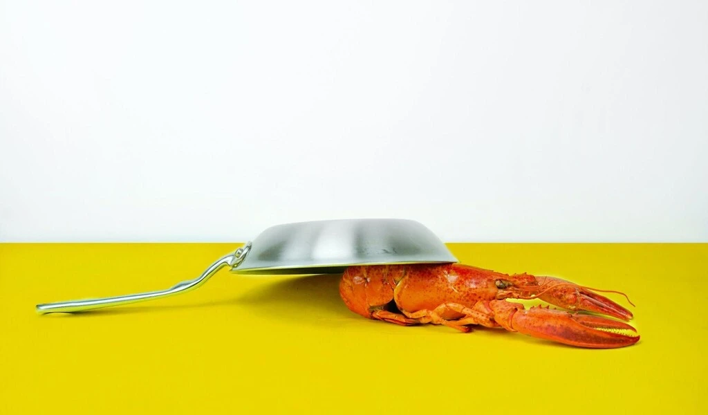 In the Mood for Some Lobster? Try These Simple Recipes!