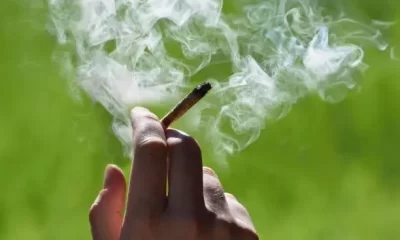 Man Suffers Heart Failure After Overindulging on Marijuana