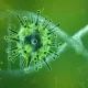 Nearly 1 in 5 Adults Who Had COVID Have Lingering Symptoms US Study