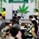 Thailand Promotes Cannabis CBD to Treat Insomnia