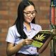 Schools in Bangkok Declared Cannabis-Free Zones