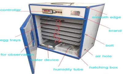 A Complete Guide to Buy a Laboratory Incubator