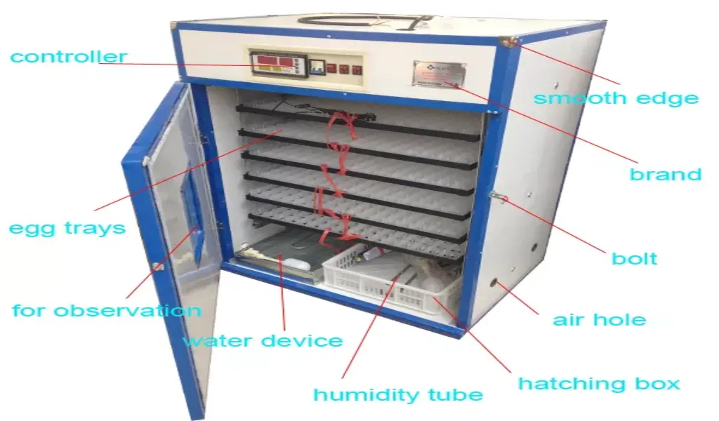 A Complete Guide to Buy a Laboratory Incubator