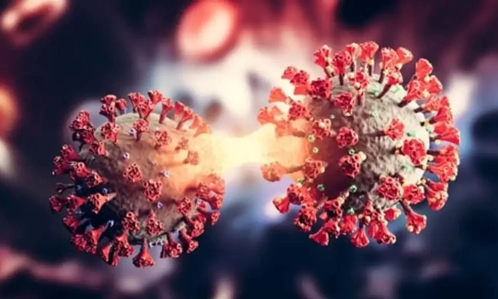COVID-19 Variant BA 5, The Most Prevalent In The U.S., How Contagious Is It