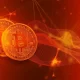Crypto1Capital Review - A World of Financial Opportunities in Your Pocket