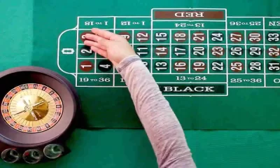 Decoding Roulette for Beginners