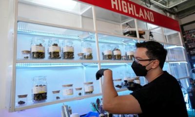 Foreign Embassies Warn About Buying Weed in Thailand