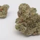 Miracle Alien Cookies
