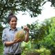Thailand Creates New "Non-Smelly" Durian