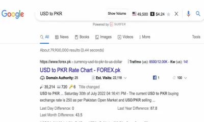 Google Deleted USD to PKR Currency Conversion ?