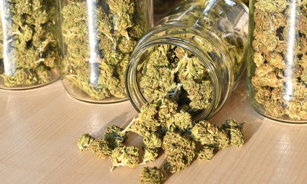 All You Must Know About CBD Flowers