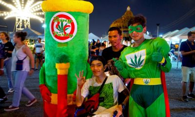 Thailand to Weed Out the Loopholes of Legalized Cannabis