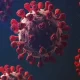 COVID-19 Incubation Period Varies by SARS-CoV-2 Strain