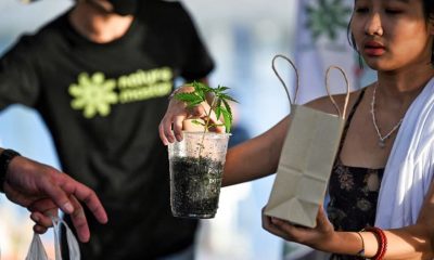 Thailand's New Weed Bill Defines Legal Marijuana Use