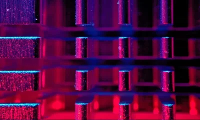 Algorithms in Casino Slot Machines: How Do They Work?