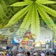Cannabis Sales is illegal on Khao San Road