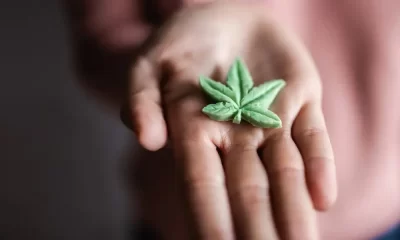 Could CBD Gummies Cause You to Fail a Drug Test?