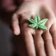 Could CBD Gummies Cause You to Fail a Drug Test?