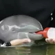 Dolphin Calf With 'Low' Survival Chances Nursed Back To Health in Thailand