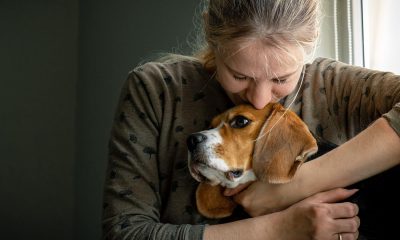 Euthanizing Your Pet