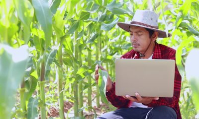 Agrigenomics Agriculture