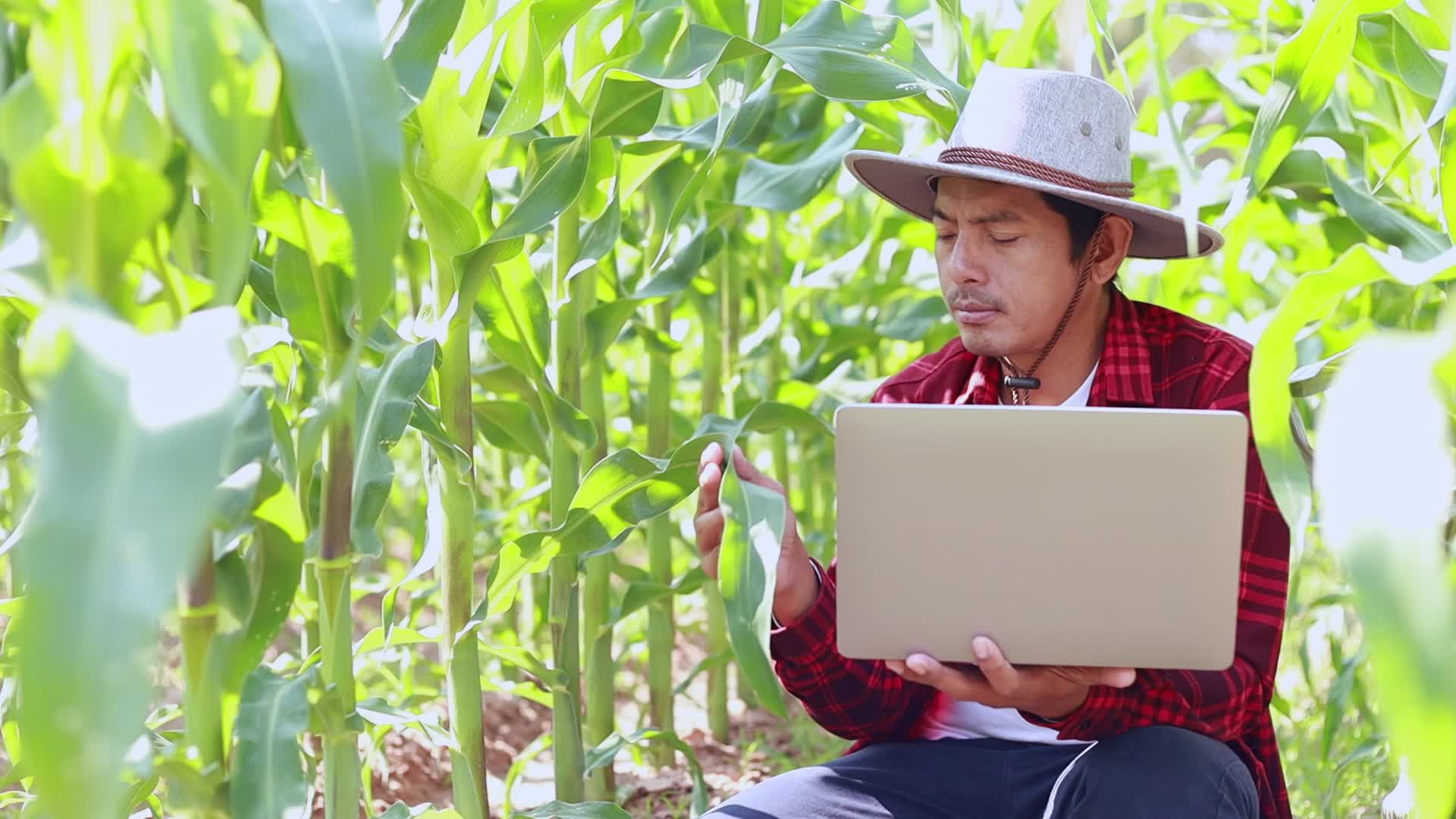 Agrigenomics Agriculture