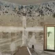 How to Remove Mold: The Ultimate Guide 2022