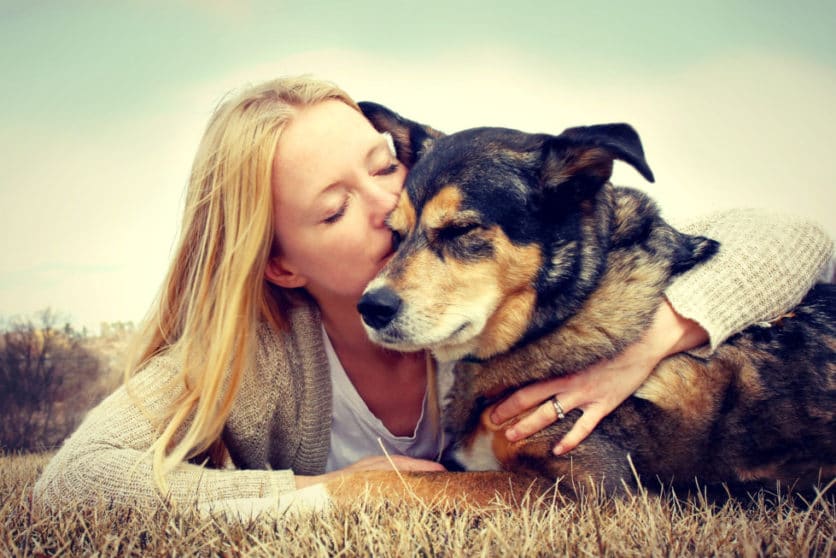 Euthanizing Your Pet