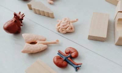 Ways Mesothelioma Impacts Your Entire Body