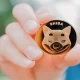 Will Shiba Inu Coin Reach $1 In 2022?