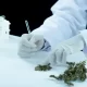 Marijuana For Patients: How Cannabis is Used in the World For Medical Purposes