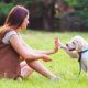 Best Puppy Training Online