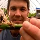 How to Do Rose Cutting?