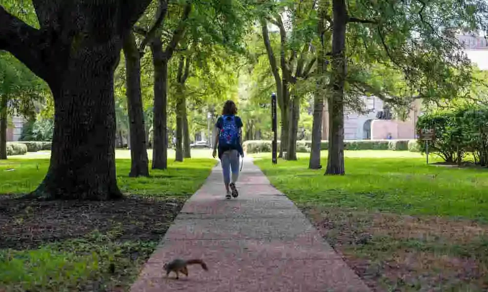 Student Loan Relief Website Launched By The White House In Beta