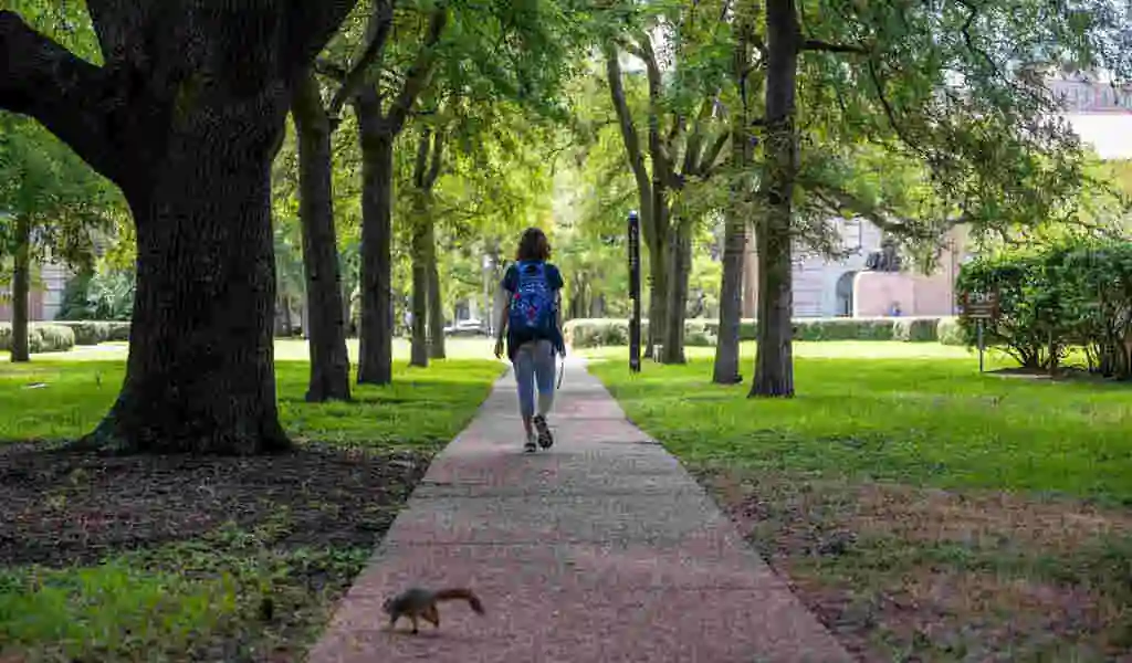 Student Loan Relief Website Launched By The White House In Beta