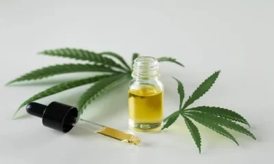 7 Things to Know About Cannabis and Your Health