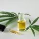7 Things to Know About Cannabis and Your Health