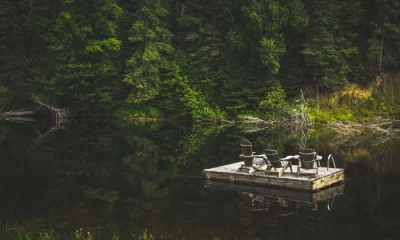 Advantages And Disadvantages Of Residential Floating Docks
