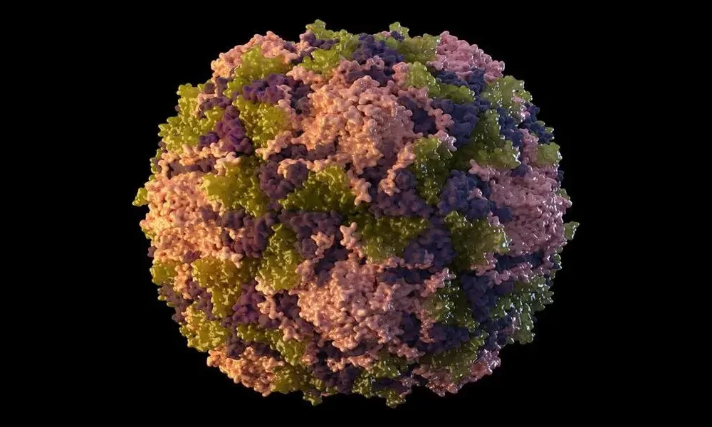 CDC Discussing Using Oral Polio Vaccine in NY For the First Time in 20 Years