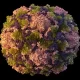 CDC Discussing Using Oral Polio Vaccine in NY For the First Time in 20 Years