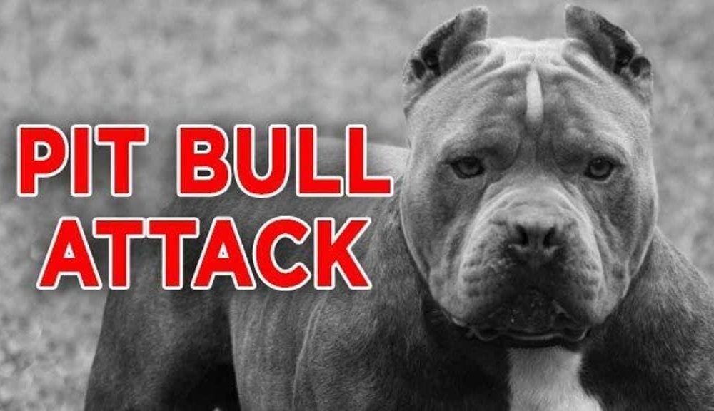 Owner of 7 Pit Bulls Attacked and Killed By His Own Dogs