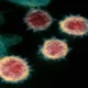All COVID Variants And Influenza Are Beaten By Banana Protein