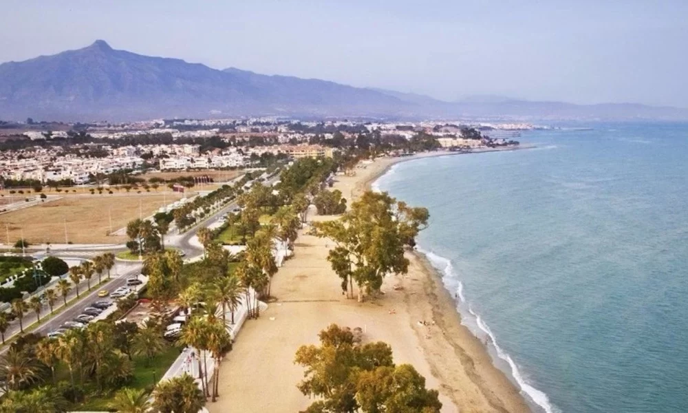 San Pedro de Alcantara News
